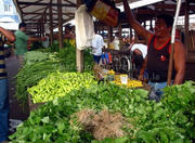 Mercado Ver-o-Peso market in Belem