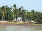 Marajó Island in Belém do Pará