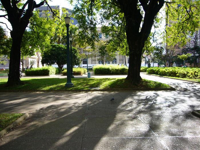 Praça da Liberdade in Belo Horizonte