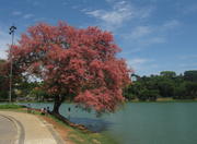 Pampulha Lagoon in Belo Horizonte