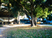 Federal University of Minas Gerais