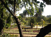 Fundacao Zoo Botanica Jardim Zoologico in Belo Horizonte