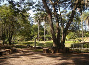 Fundacao Zoo Botanica Jardim Zoologico in Belo Horizonte