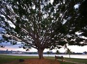 Pontão do Lago Sul in Brasília