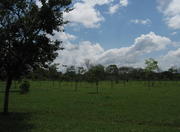 Sarah Kubitschek City Park in Brasília