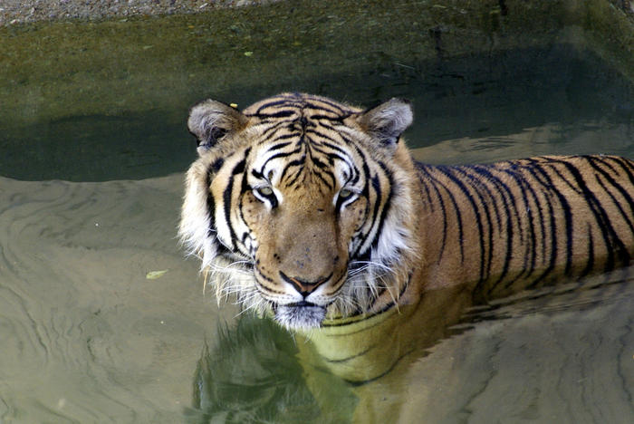 Brasilia Zoo