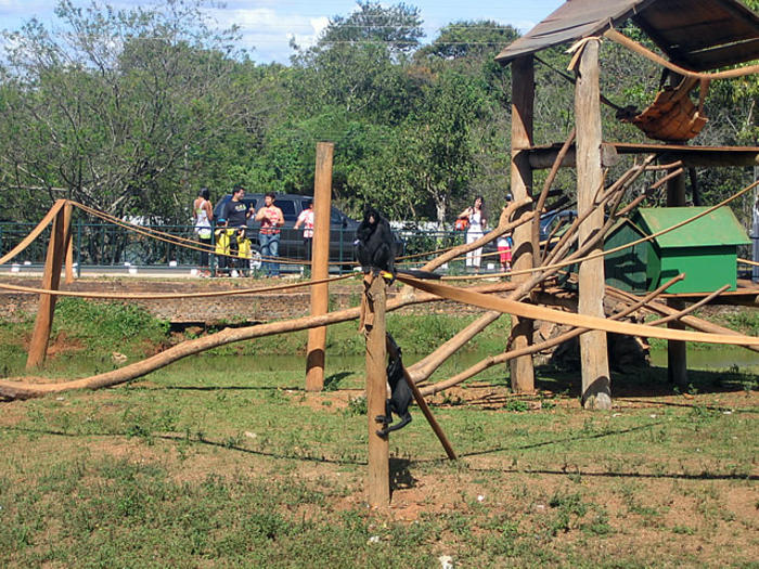 Brasilia Zoo