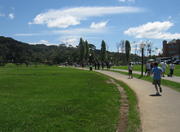 Barigui Park in Curitiba