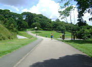 São Lourenço Park in Curitiba