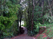 Tangua Park in Curitiba