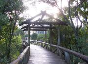 Jardim Botanico in Curitiba