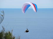 Paragliding in Floripa