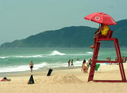 Campeche Beach in Florianopolis