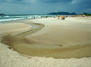 Campeche Beach in Florianopolis