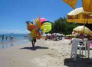 Ponta das Canas Beach in Florianopolis