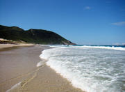 Moçambique Beach in Florianopolis