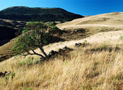 Parque Nacional de Sao Joaquim