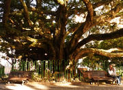 Praça XV de Novembro - Florianópolis