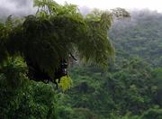 Serra de Baturité in Fortaleza