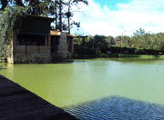 Serra de Guaramiranga in Fortaleza