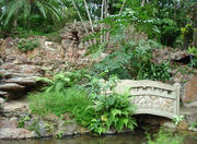 Rio Quente Hydrothermal Springs