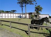 Picutre of Hotel FaZenda Pampas in Gramado