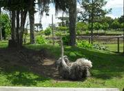 Picutre of Hotel FaZenda Pampas in Gramado