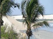 Picutre of Hotel Villa Terra Viva in Jericoacoara