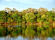 Silves Island in the Amazon region