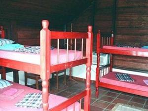 Mamori Amazon Hostel