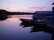 Janauari Ecological Park, Manaus, Amazon