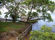 View from a Lodge in Amazon