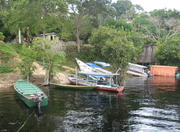 Inside the Amazon Rainforest