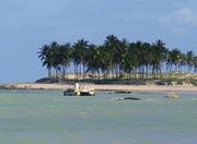 Maracajaú in Natal