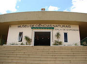 Ciencias Naturais Fundacao Zoobotanica Museum