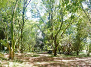 Jardim Botânico in Porto Alegre