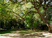 Farroupilha Park in Porto Alegre