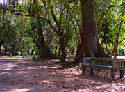 Farroupilha Park in Porto Alegre