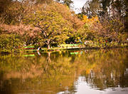 Moinhos De Vento Park in Porto Alegre