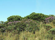 Parque Nacional da Serra Geral