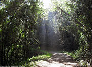 Parque Natural Morro do Osso