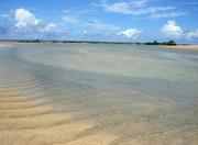 Carneiros Beach in Recife