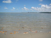 Itamaracá Beach