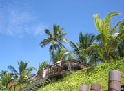 Muro Alto Beach in Recife