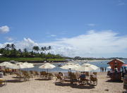 Muro Alto Beach in Recife