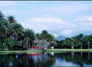 Bosque da Barra Natural Park in Rio