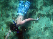 Scuba Diving at Buzios in Rio de Janeiro