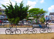 Cabo Frio in Rio de Janeiro