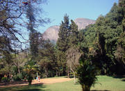 Gávea Park in Rio de Janeiro