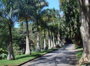 Gávea Park in Rio de Janeiro